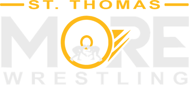 Logo /images/STM-PNG.png1